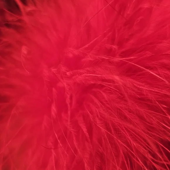 Never Worn Feathered Pleaser boots - Picture 11 of 11